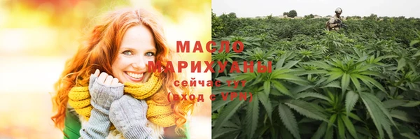 сатива Верея