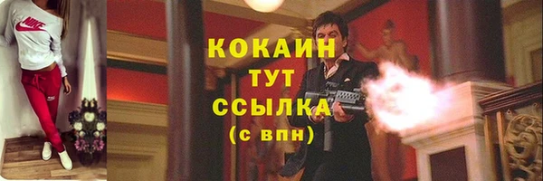 сатива Верея