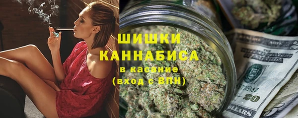 сатива Верея