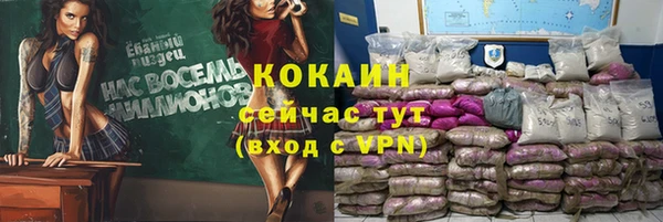 сатива Верея