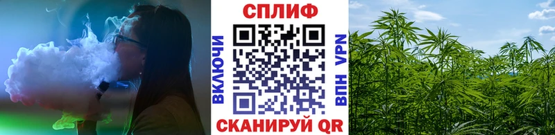 Шишки марихуана White Widow  купить наркоту  Северская 